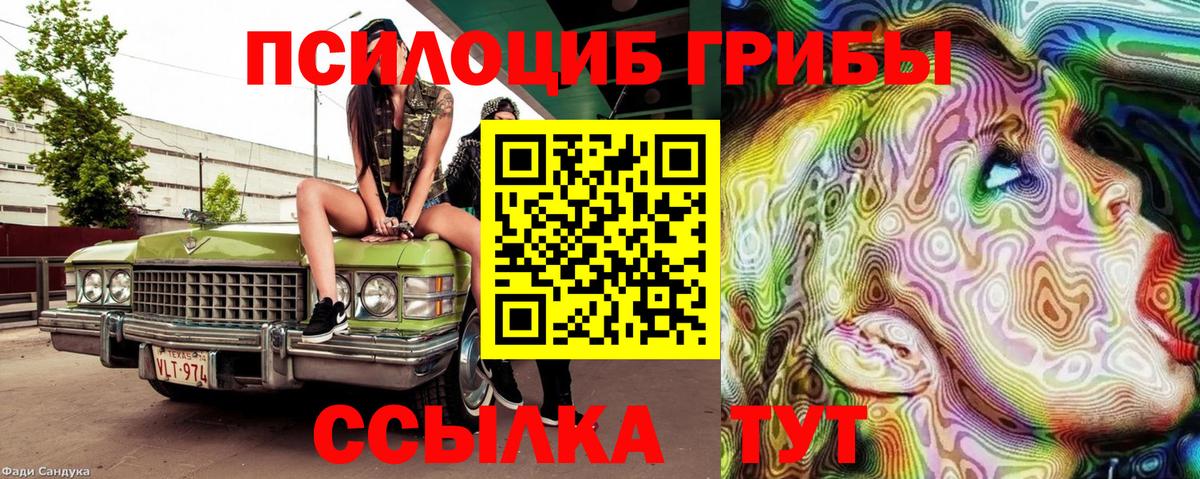 Псилоцибиновые грибы прущие грибы  Вход с VPN  Кисловодск  Галлюциногенные грибы ЛСД 